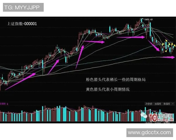 重庆乒乓球队与北京乒乓球队对决分析个人能力的深度复盘