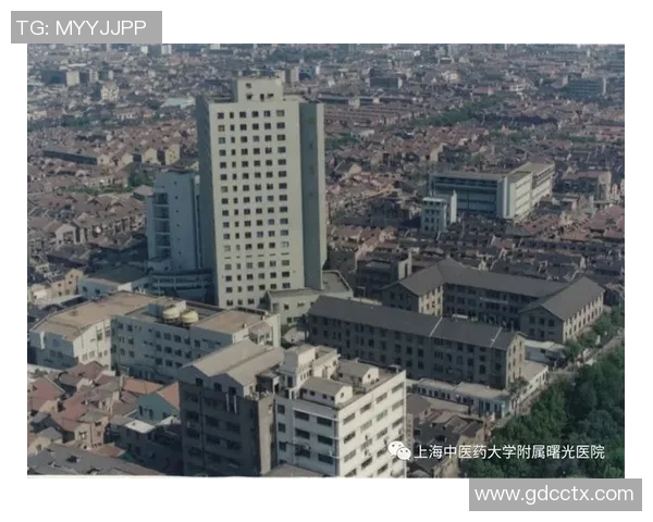 北京乒乓球队在钻石联赛中的崛起与成长历程全景回顾