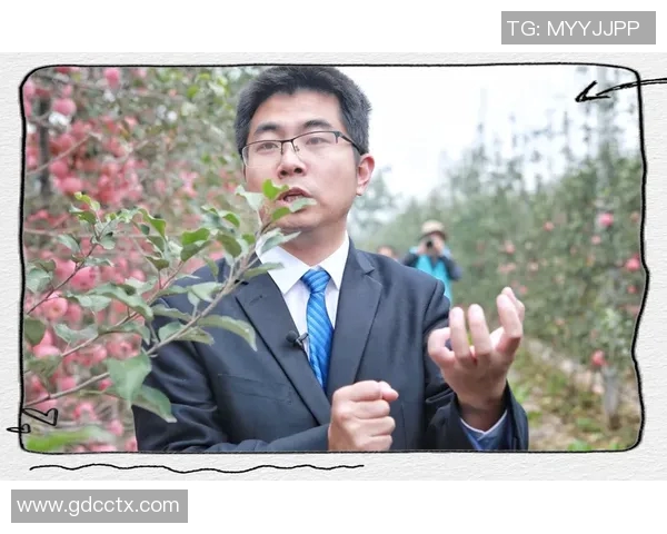 广州排球队选拔赛特别报道：从传统到现代的转型之路与未来展望